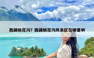 西藏桃花沟？西藏桃花沟风景区在哪里啊