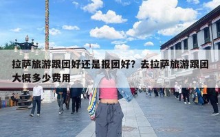 拉萨旅游跟团好还是报团好？去拉萨旅游跟团大概多少费用