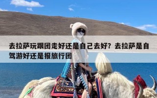 去拉萨玩跟团走好还是自己去好？去拉萨是自驾游好还是报旅行团