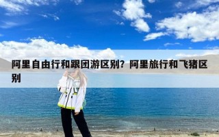 阿里自由行和跟团游区别？阿里旅行和飞猪区别