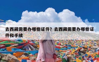 去西藏需要办哪些证件？去西藏需要办哪些证件和手续