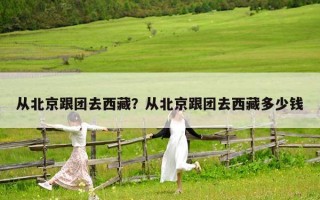 从北京跟团去西藏？从北京跟团去西藏多少钱