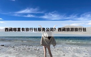 西藏哪里有旅行社服务公司？西藏旅游旅行社