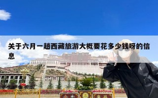 关于六月一趟西藏旅游大概要花多少钱呀的信息