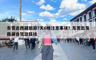 东莞去西藏旅游7天6晚注意事项？东莞出发西藏自驾游路线
