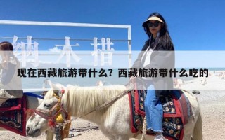现在西藏旅游带什么？西藏旅游带什么吃的