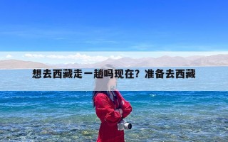 想去西藏走一趟吗现在？准备去西藏