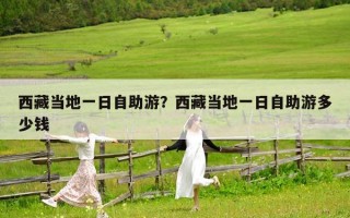 西藏当地一日自助游？西藏当地一日自助游多少钱