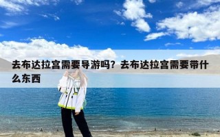 去布达拉宫需要导游吗？去布达拉宫需要带什么东西