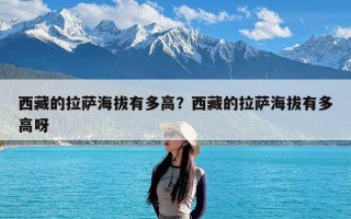 西藏的拉萨海拔有多高？西藏的拉萨海拔有多高呀