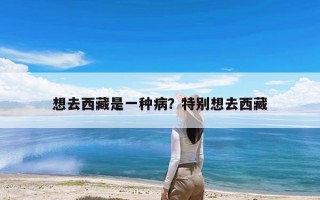 想去西藏是一种病？特别想去西藏