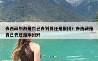 去西藏旅游是自己去划算还是报团？去西藏是自己去还是跟团好