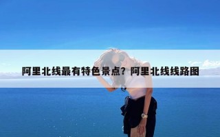 阿里北线最有特色景点？阿里北线线路图