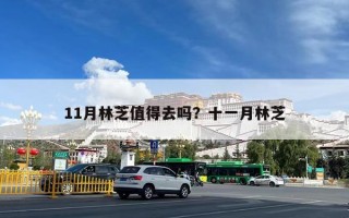 11月林芝值得去吗？十一月林芝
