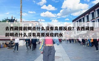 去西藏提前喝点什么没有高原反应？去西藏提前喝点什么没有高原反应的水