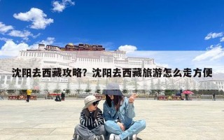 沈阳去西藏攻略？沈阳去西藏旅游怎么走方便