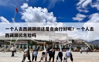 一个人去西藏跟团还是自由行好呢？一个人去西藏跟团危险吗