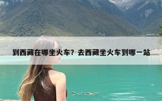 到西藏在哪坐火车？去西藏坐火车到哪一站