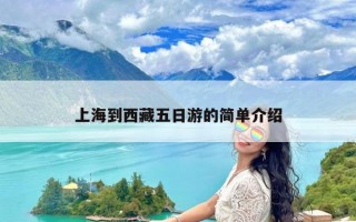 上海到西藏五日游的简单介绍