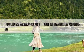 飞机到西藏旅游攻略？飞机到西藏旅游攻略路线