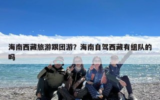 海南西藏旅游跟团游？海南自驾西藏有组队的吗
