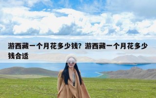 游西藏一个月花多少钱？游西藏一个月花多少钱合适