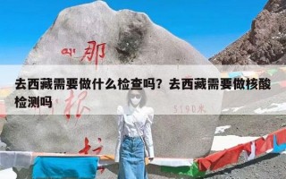 去西藏需要做什么检查吗？去西藏需要做核酸检测吗