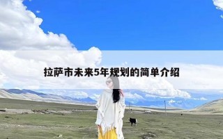拉萨市未来5年规划的简单介绍