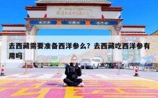 去西藏需要准备西洋参么？去西藏吃西洋参有用吗