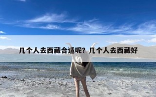 几个人去西藏合适呢？几个人去西藏好