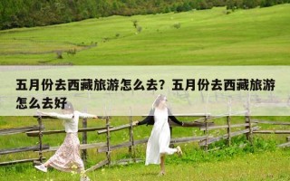 五月份去西藏旅游怎么去？五月份去西藏旅游怎么去好