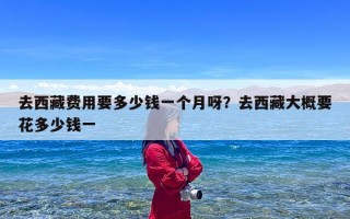 去西藏费用要多少钱一个月呀？去西藏大概要花多少钱一