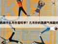 西藏什么月份是旺季？几月份的西藏气候最好