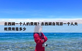 去西藏一个人的费用？去西藏自驾游一个人大概费用是多少