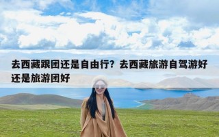 去西藏跟团还是自由行？去西藏旅游自驾游好还是旅游团好