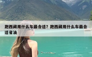 跑西藏用什么车最合适？跑西藏用什么车最合适省油