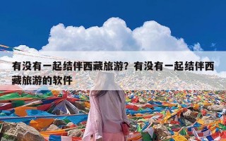 有没有一起结伴西藏旅游？有没有一起结伴西藏旅游的软件