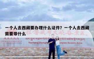 一个人去西藏要办理什么证件？一个人去西藏需要带什么