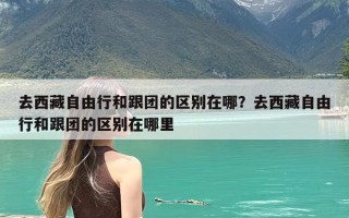 去西藏自由行和跟团的区别在哪？去西藏自由行和跟团的区别在哪里