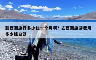 到西藏旅行多少钱一个月啊？去西藏旅游费用多少钱自驾