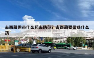 去西藏需带什么药去防范？去西藏要带些什么药