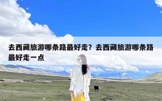 去西藏旅游哪条路最好走？去西藏旅游哪条路最好走一点