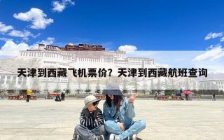 天津到西藏飞机票价？天津到西藏航班查询