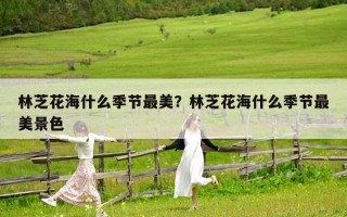 林芝花海什么季节最美？林芝花海什么季节最美景色