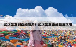 武汉出发到西藏旅游？武汉出发西藏旅游攻略
