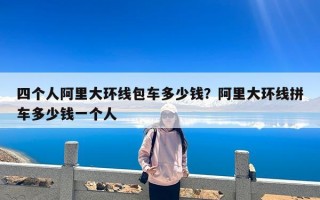 四个人阿里大环线包车多少钱？阿里大环线拼车多少钱一个人