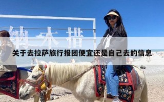 去拉萨旅行报团便宜还是自己去？去拉萨要报团吗？