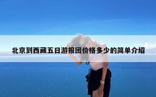 北京到西藏五日游报团价格多少的简单介绍