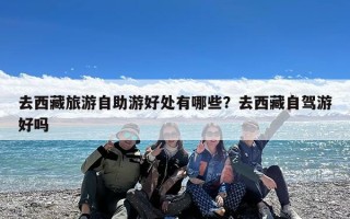 去西藏旅游自助游好处有哪些？去西藏自驾游好吗