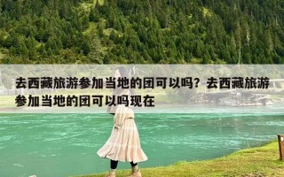 去西藏旅游参加当地的团可以吗？去西藏旅游参加当地的团可以吗现在
